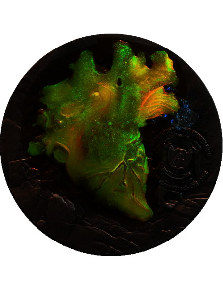BREAK FREE 2 Oz Glow in Dark Antique Silbermünze 2000 Francs Kamerun 2025 - Coins & More - Kamerun