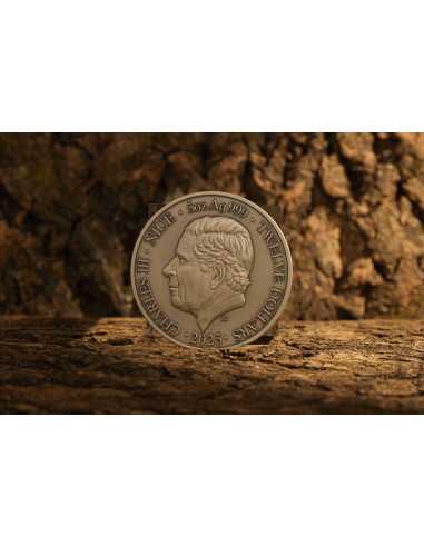 CAPRICORN Twelve Zodiac Signs 5 Oz UV Silver Coin 12$ Dollars Niue 2024 - Coins & More - Chad
