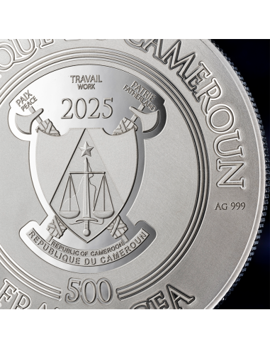 CYBER SANTA CLAUS Silbermünze 500 Francs CFA Kamerun 2025 - Coins & More - Kamerun