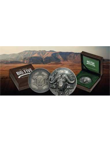 ACQUA BUFFALO Big Five Mauquoy Moneta d'argento da 1 Oz 1000 Franchi Costa d'Avorio 2024 - Coins & More - Costa d'Avorio