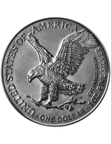 KNIGHT OF THUNDER Cavalieri d'onore American Eagle 1 Oz Silver Coin 1$ USA 2024 - Coins & More - Usa