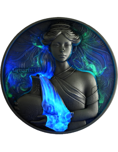 AQUARIUS Douze Signes du Zodiaque Pièce 5 Oz UV Argent 12$ Dollars Niue 2024 - Coins & More - Tchad